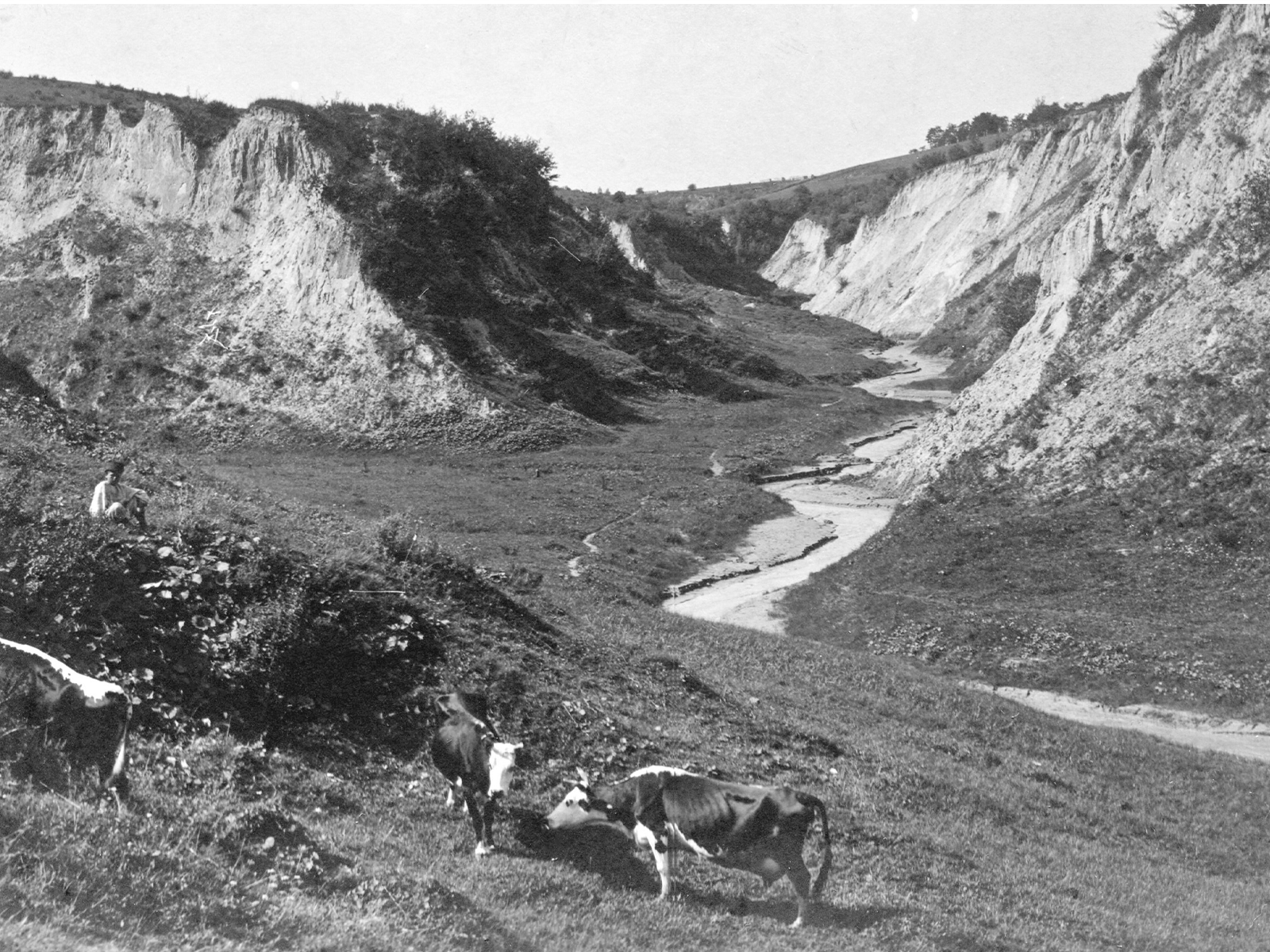 Репʼяхів яр