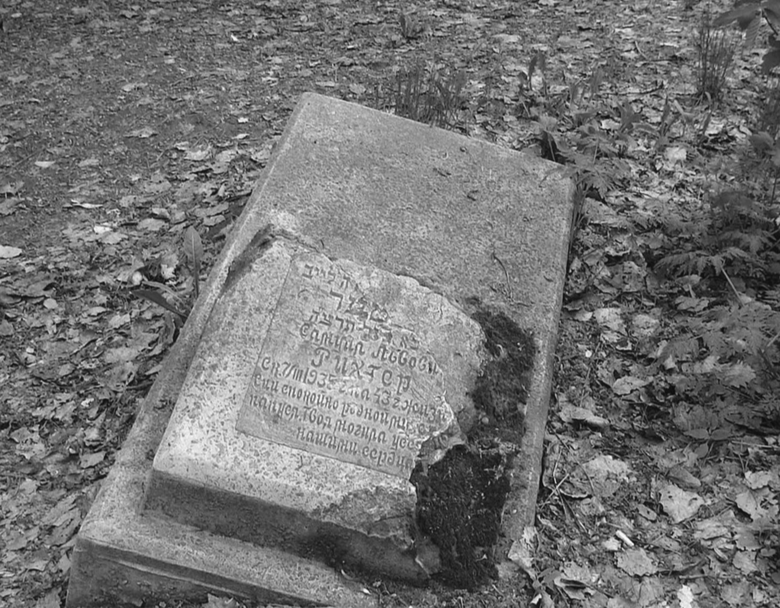 Фото надгробку з частини кладовища що збереглась до сьогодні, © Дмитро Ідрісов